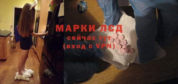сатива Куйбышев