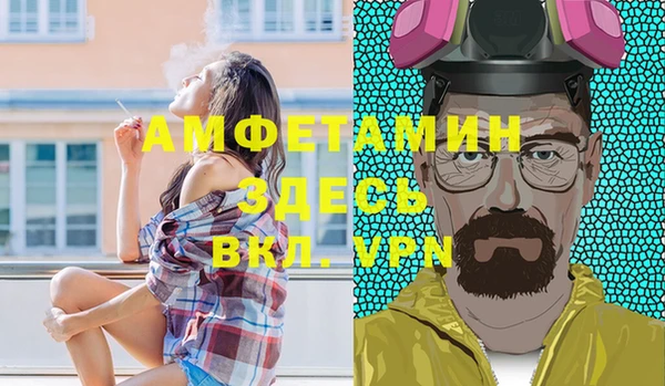 сатива Куйбышев