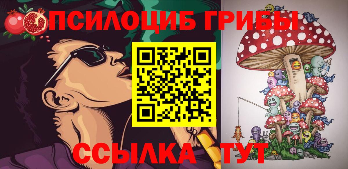 Камышлов  Псилоцибиновые грибы Cubensis  Вход с VPN  Галлюциногенные грибы ЛСД 