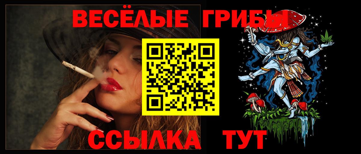 Псилоцибиновые грибы Cubensis Камышлов