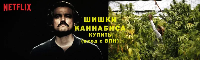 сайты даркнета формула  mega вход  Камышлов  Канабис SATIVA & INDICA 